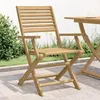 Image de vidaXL Lot de 2 Chaises Pliables de Jardin Sièges avec Dossier Meubles de Patio Terrasse Extérieur Moderne Bois Massif 365737