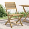 Image de vidaXL Lot de 2 Chaises Pliables de Jardin Sièges avec Dossier Meubles de Patio Terrasse Extérieur Moderne Bois Massif 365739