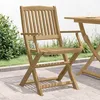 Image de vidaXL Lot de 2 Chaises Pliables de Jardin Sièges avec Dossier Meubles de Patio Terrasse Extérieur Moderne Bois Massif 365741