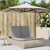 Image de vidaXL Chaise longue double avec coussins beige résine tressée 368093