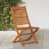 Image de vidaXL Chaises pliantes de jardin lot de 2 bois dacacia solide chaise de jardin siège d extérieur chaise d extérieur 367696