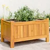 Image de vidaXL Jardinière avec Doublure Lit Surélevé Bac à Fleurs Pot de Plantes Boîte à Fleurs Jardin Patio Terrasse 54x31x30 366429