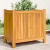 Image de vidaXL Jardinière avec Doublure Lit Surélevé Bac à Fleurs Pot de Plantes Boîte à Fleurs Jardin Patio Terrasse 54x31x50 366431