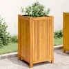 Image de vidaXL Jardinière avec Doublure Lit Surélevé Bac à Fleurs Pot de Plantes Boîte à Fleurs Jardin Patio Terrasse 42x42x75 366436