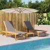 Image de vidaXL Lot de 2 Chaises Longues Bain de Soleil Transat de Terrasse Siège de Jardin Patio Balcon Extérieur Noir Bois 3279247