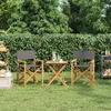 Image de vidaXL Chaises de metteur en scène pliantes lot de 2 Bois teck massif 4008513