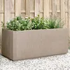 Image de vidaXL Jardinière Lit Surélevé Bac à Fleurs Pot de Plantes Boîte à Fleurs Jardin Patio Terrasse Arrière-cour Extérieur 368778