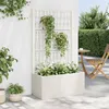 Image de vidaXL Jardinière avec Treillis Lit Surélevé Bac à Fleurs Pot de Plantes Boîte à Fleurs Jardin Patio Terrasse Extérieur 368779
