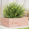 Image de vidaXL Jardinière 60x60x23 cm bois massif douglas jardinière dextérieur bac à fleurs boîte à plantes jardinière de 847191