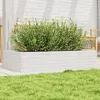 Image de vidaXL Jardinière blanc 110x60x23 cm bois de pin massif jardinière dextérieur bac à fleurs boîte à plantes jardinière 847239