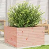 Image de vidaXL Jardinière 80x80x45 5 cm bois massif de douglas jardinière dextérieur bac à fleurs boîte à plantes jardinière de 847261