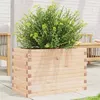 Image de vidaXL Jardinière 70x40x455 cm bois de pin massif jardinière dextérieur bac à fleurs boîte à plantes jardinière de 847263
