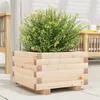 Image de vidaXL Jardinière 40x40x265 cm bois de pin massif jardinière dextérieur bac à fleurs boîte à plantes jardinière de 847288