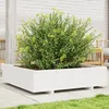 Image de vidaXL Jardinière blanc 100x100x265 cm bois de pin massif jardinière dextérieur bac à fleurs boîte à plantes 847319