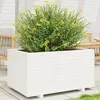Image de vidaXL Jardinière blanc 90x60x495 cm bois de pin massif jardinière dextérieur bac à fleurs bac à tomates jardinière de 3282565