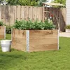 Image de vidaXL Jardinière 100x100 cm bois de pin massif jardinière dextérieur bac à fleurs bac à tomates jardinière de 3295431
