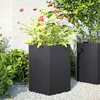 Image de vidaXL Jardinière noir hexagone 46x40x45 cm acier jardinière de fleurs jardinière de patio jardinière de jardin 851108