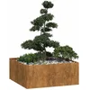 Image de vidaXL Jardinière rouillé 100x100x40 cm acier inoxydable pot de fleurs support de plantes lit surélevé support de 860821