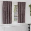 Image de Rideaux en velours marron tamisants 2 pcs 175 x 140 cm avec oeillets