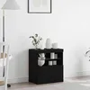 Image de vidaXL Buffet LED Noir 60 5 x 37 x 67 cm Bois dingénierie 863029
