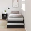 Image de vidaXL Cadre de lit avec rangement Chêne noir 90 cm Bois dingénierie 3335670