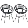 Image de Chaise de salle à manger en rotin - vidaXL - Noir - 65x555x81 cm - Lot de 2 - Rotin et métal - Design moderne