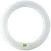 Image de Tube fluorescent - PHILIPS - G10Q CIRCLINE - 22 W - 6500 K (blanc froid) - Culot G10Q