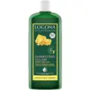Image de Logona Soins Capillaires Shampoing Volumateur au Miel & à la Bière Bio 500ml