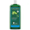 Image de Logona Soins Capillaires Shampoing Hydratant à l'Aloe Vera Bio 250ml