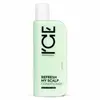 Image de ICE Après-shampoing Detox VEGAN