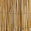 Image de Canisse roseau naturel WINDHAGER 1x5m