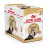 Image de Pâtée pour Chat - Royal Canin - Persian en Mousse - 12x85g - Poil Long - Santé Digestive - Urinaire