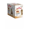 Image de Royal Canin - Sachets Intense Beauty en Gelée pour Chat - 12x85g