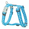 Image de Harnais pour Chien - RED DINGO - Bleu avec Étoiles Blanches - Réglable 45 à 69 cm - Nylon Résistant - 20 mm
