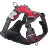 Image de Harnais pour chien - RED DINGO - Sport - Rembourré - 4 ajusteurs - Bandes réfléchissantes