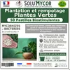 Image de SoluMycor 50 Pastilles Bio-stimulantes engrais pour Plantation et Rempotage de Plantes Vertes - Développement racinaire