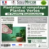 Image de SoluMycor 25 Pastilles Bio-stimulantes engrais pour Plantation et Rempotage de Plantes Vertes - Développement racinaire
