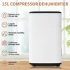 Image de Déshumidificateur 25 L/jour pour 26  - minuterie 24 heures - avec réservoir deau 6 L - résistant à la moisissure et à lhumidité