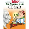 Image de Astérix Tome 18