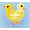 Image de Un Poussin, Un Caneton en occasion ou reconditionné