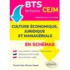 Image de Culture Ãconomique, Juridique Et ManagÃ©riale En SchÃ©mas Bts Tertiaires Cejm en occasion ou reconditionné