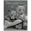 Image de Deux Petits Ours en occasion ou reconditionné