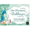 Image de Le Loto Montessori De Balthazar Et De PÃ©pin Aussi - 48 Cartes ClassifiÃ©es De La Maison Et Du Jardin en occasion ou reconditionné