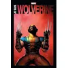Image de Je Suis Wolverine en occasion ou reconditionné