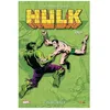Image de Hulk L'intÃ©grale - 1969 en occasion ou reconditionné