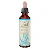 Image de Fleurs de Bach Original - Beech 20ml