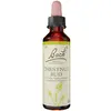Image de Fleurs de Bach Original - Chestnut Bud 20ml