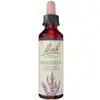 Image de Fleurs de Bach Original - Heather 20ml