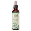 Image de Fleurs de Bach Original - Holly 20ml