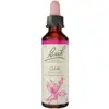 Image de Fleurs de Bach Original - Oak 20ml